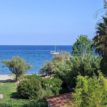 Cala Di Sognu Lägenhet San-Nicolao Exteriör bild