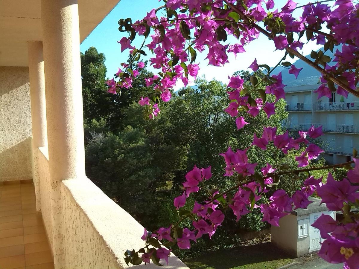 Cala Di Sognu Lägenhet San-Nicolao Exteriör bild